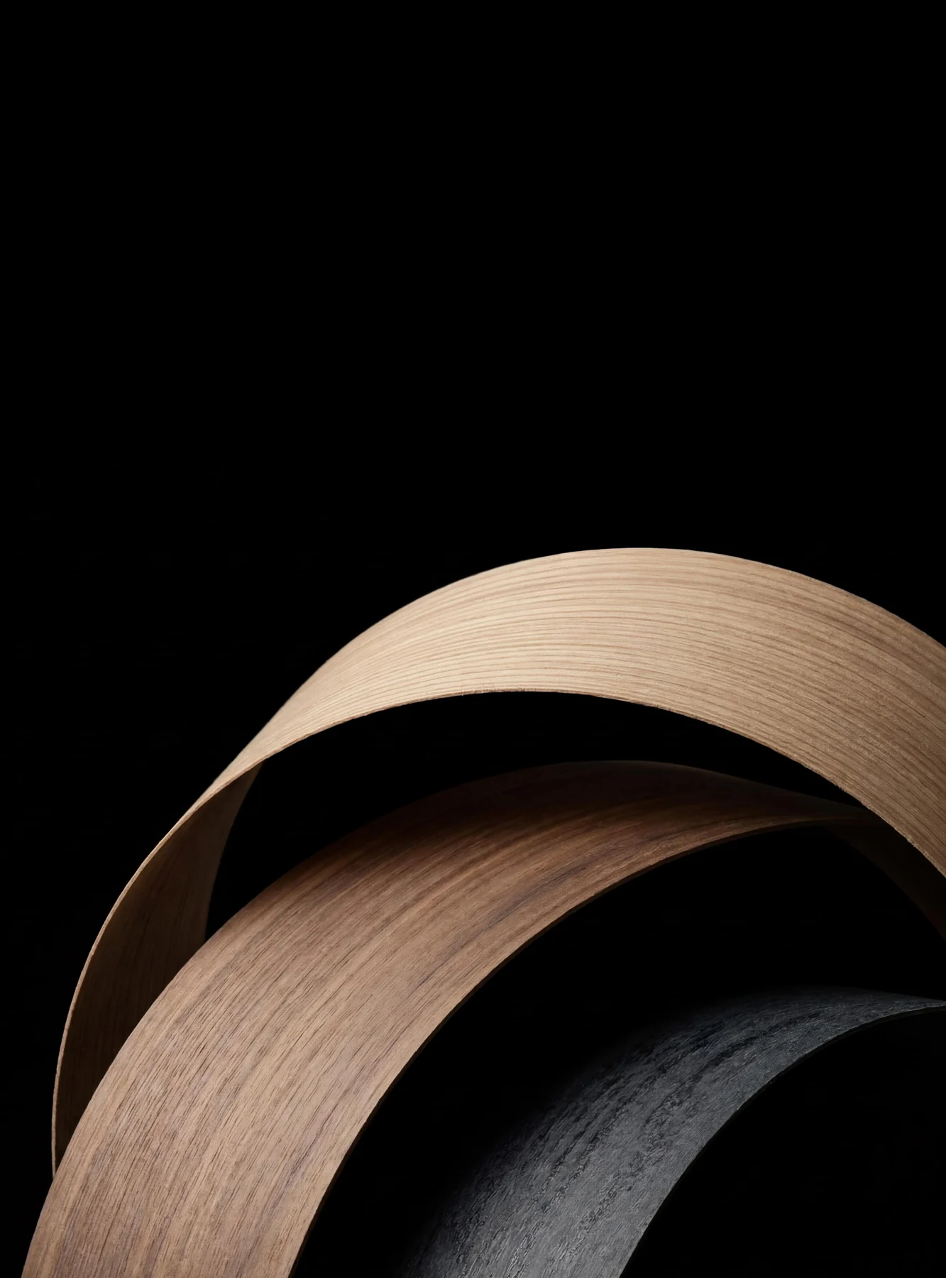 Sculptural arcs of laminate surfaces on black